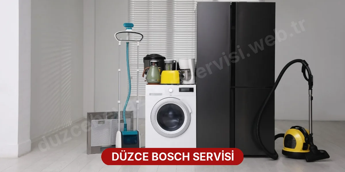 Düzce Bosch Servisi
