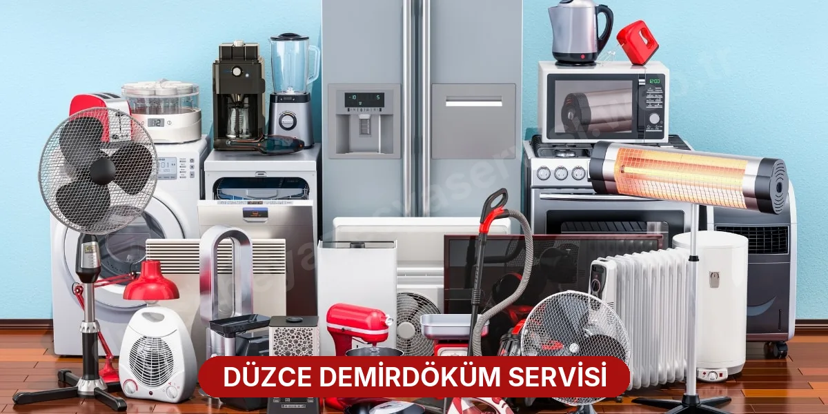 Düzce Demirdöküm Servisi