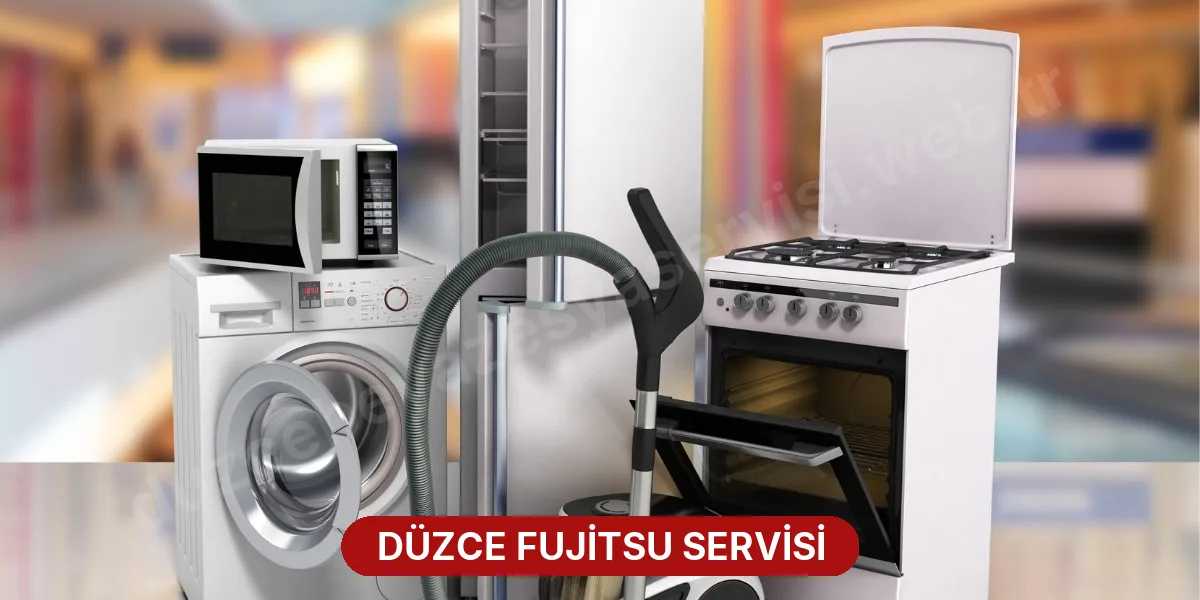 Düzce Fujitsu Servisi