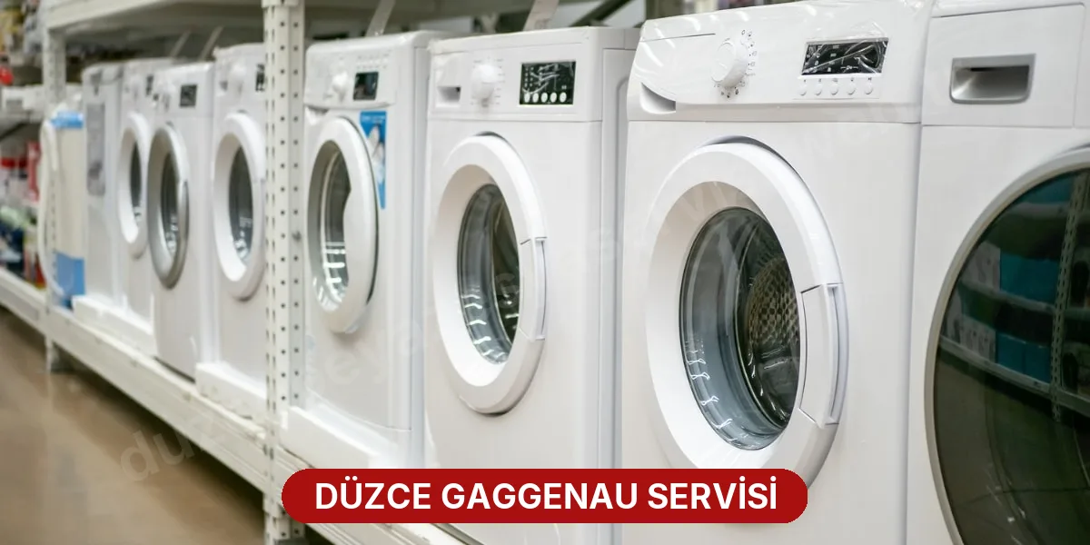 Düzce Gaggenau Servisi