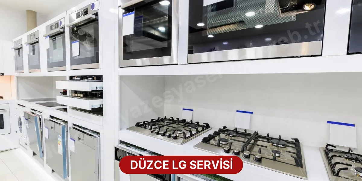 Düzce LG Servisi