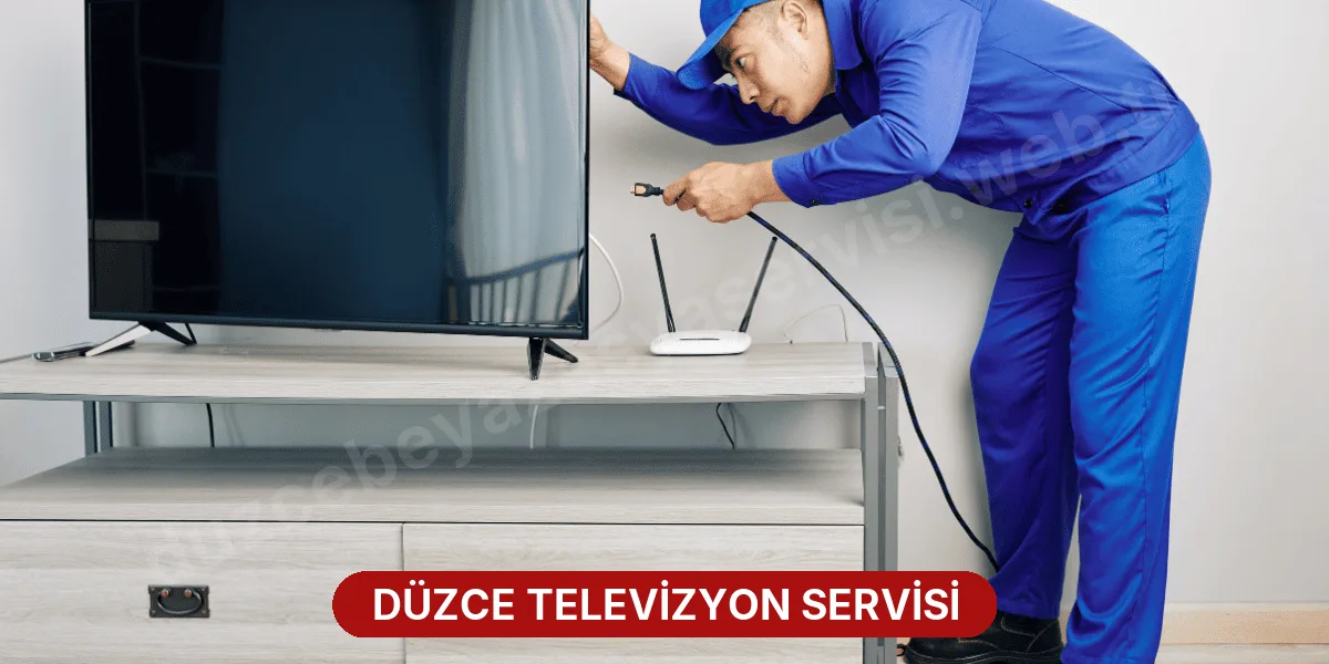 Düzce Televizyon Servisi